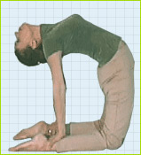 camel pose asana